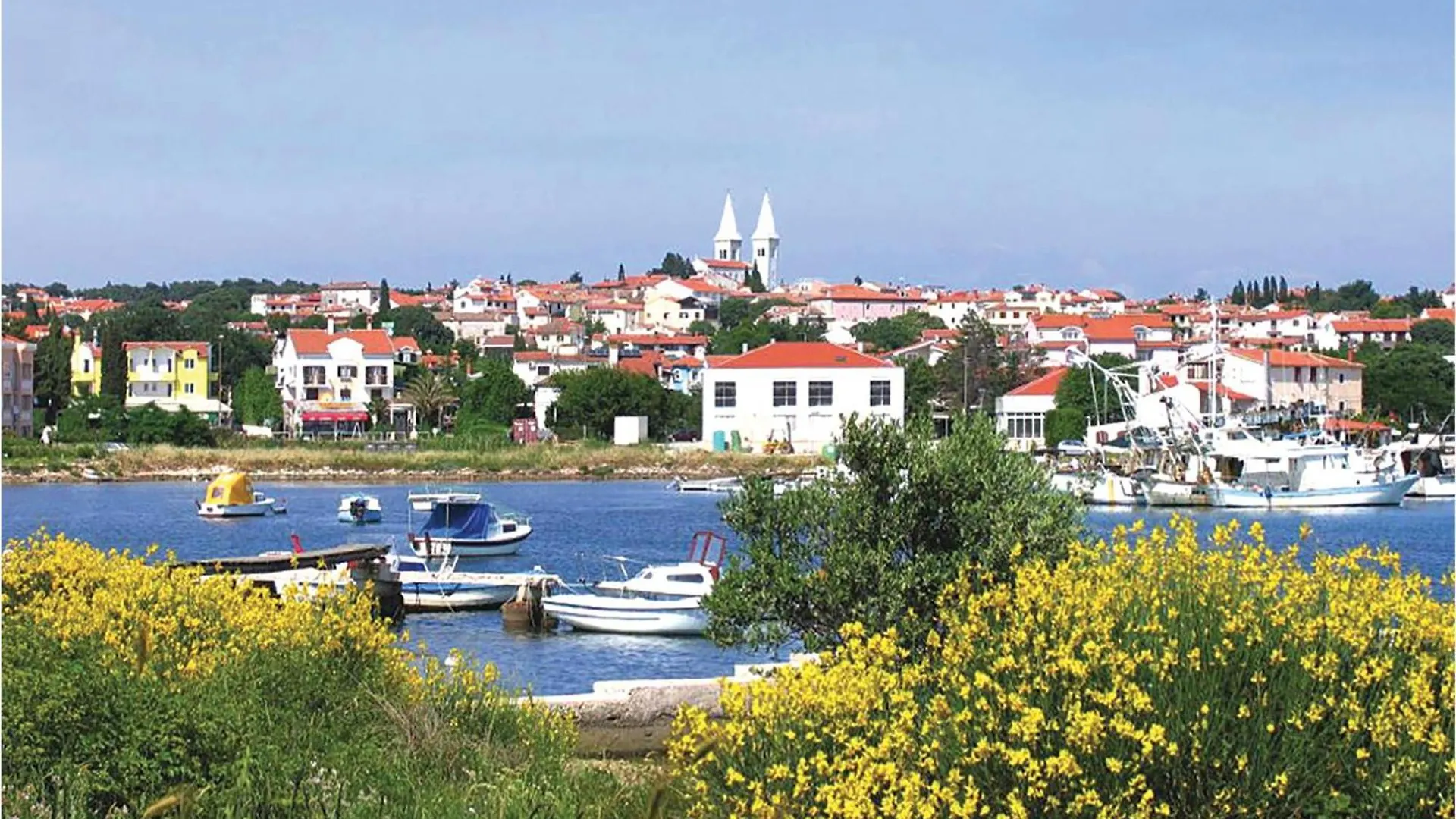 Pet Friendly Apartment In Medulin With Kitchen